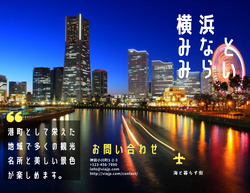 三つ折りパンフレット