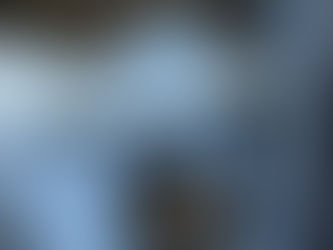 猫ちゃん用屋上付きのマイハウス作ってみました