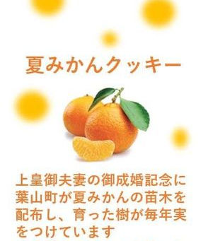 🍊夏みかんクッキー🍪