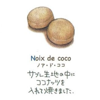 ノア・ド・ココ.jpg