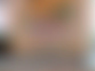 葉山つつじカードが始まりました。