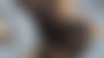 Bullet Proof K9 Vest Purchased