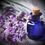 Thumbnail: Spike Lavender & Roman Chamomile Hand Blended RITUALS Roller Essential Parfum