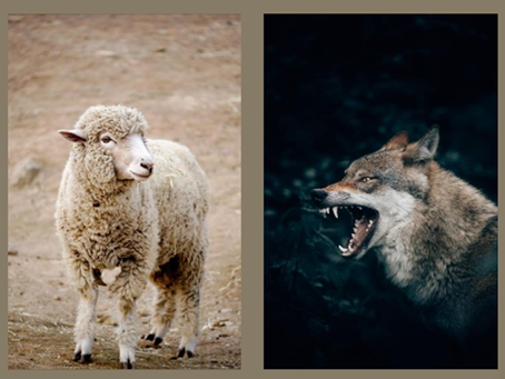 Lobos disfrazados de ovejas.