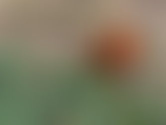 la perfección es enemiga del progreso