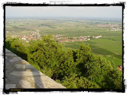 28_Blick_vom_Hambacher_Schloß