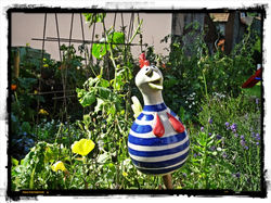 11 Unser Garten wird bewacht...