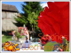 48 Titelbild 27 Juni 2014-1