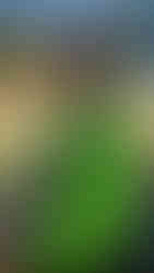 person in fluorescent wind jacket on bike with plant in front