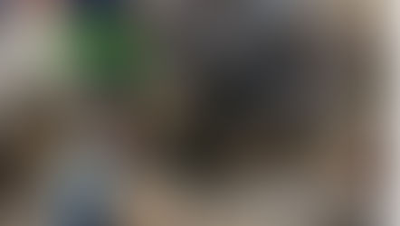 PANIKOT By CapitalTrails - A Journey Through Thorns and Strength