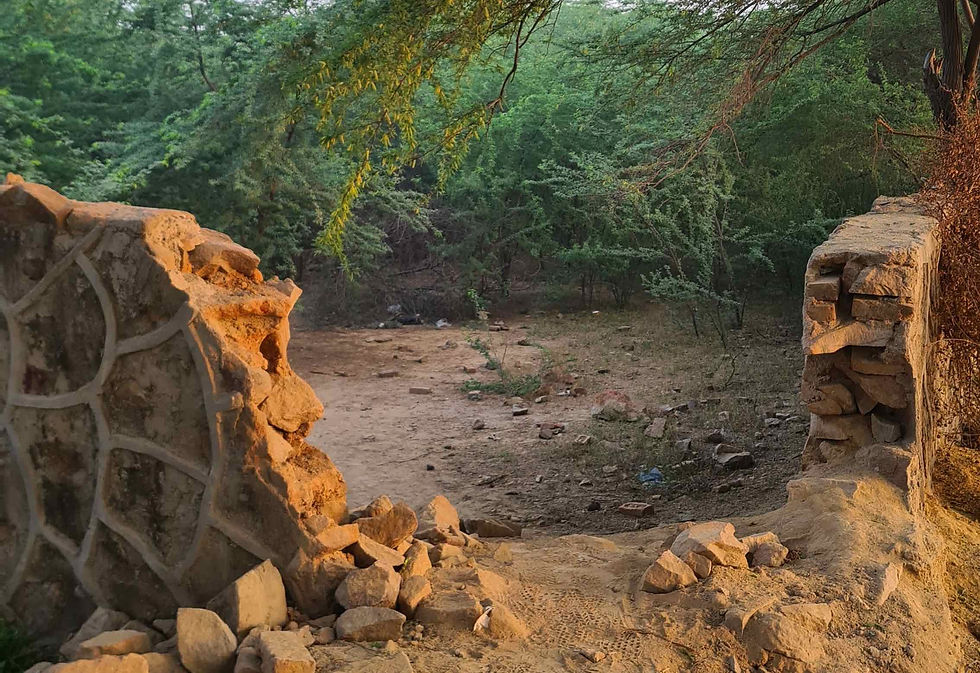 broken stone wall in a forest