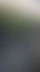 trail runner on rocky trail