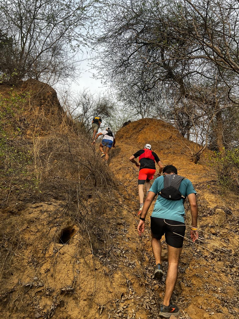 four trail runners with backpacks climbing a hill in a single file