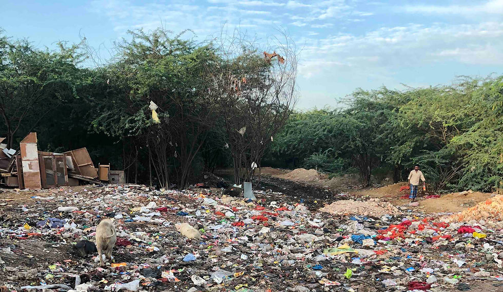 huge garbage dump in a forest with a man and a pig in frame