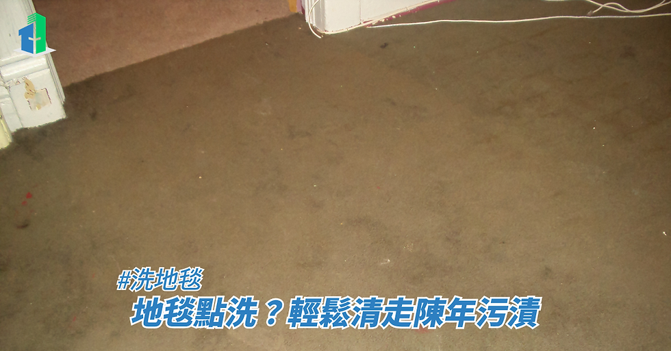 地毯點洗輕鬆清走陳年污漬