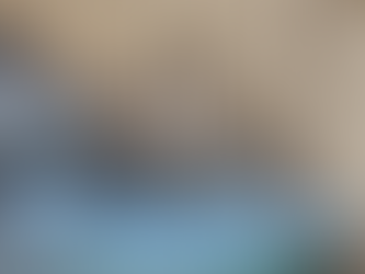 發現白蟻跡象立即預約滅蟲服務 避免結構受損