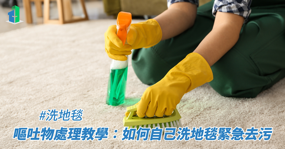 嘔吐物處理教學：如何自己洗地毯緊急去污