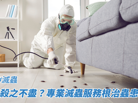 曱甴殺之不盡？專業滅蟲服務根治蟲患方案 