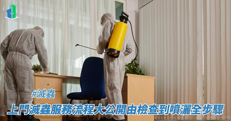 上門滅蟲服務流程大公開由檢查到噴灑全步驟