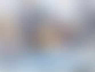 收藏品無位擺？恆溫迷你倉是玩具模型最佳臨時倉庫