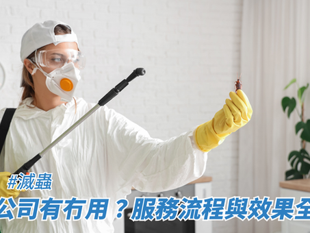 滅蟲公司有冇用?服務流程與效果全公開