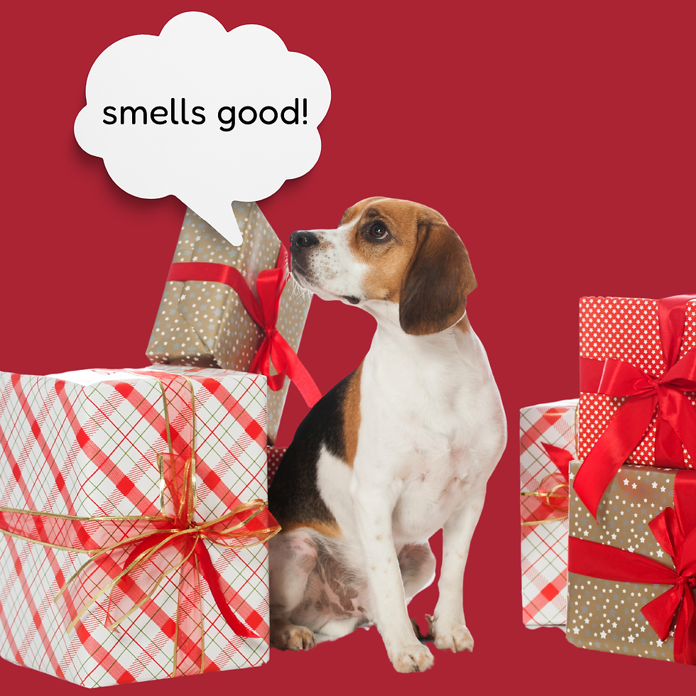 Hearts at Home's 2024 Holiday Gift Guide