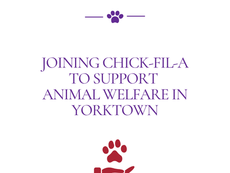 Joining Chick-fil-A to Support Animal Welfare in Yorktown