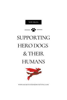 Supporting Hero Dogs