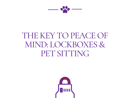 The Key to Peace of Mind: Lockboxes & Pet Sitting