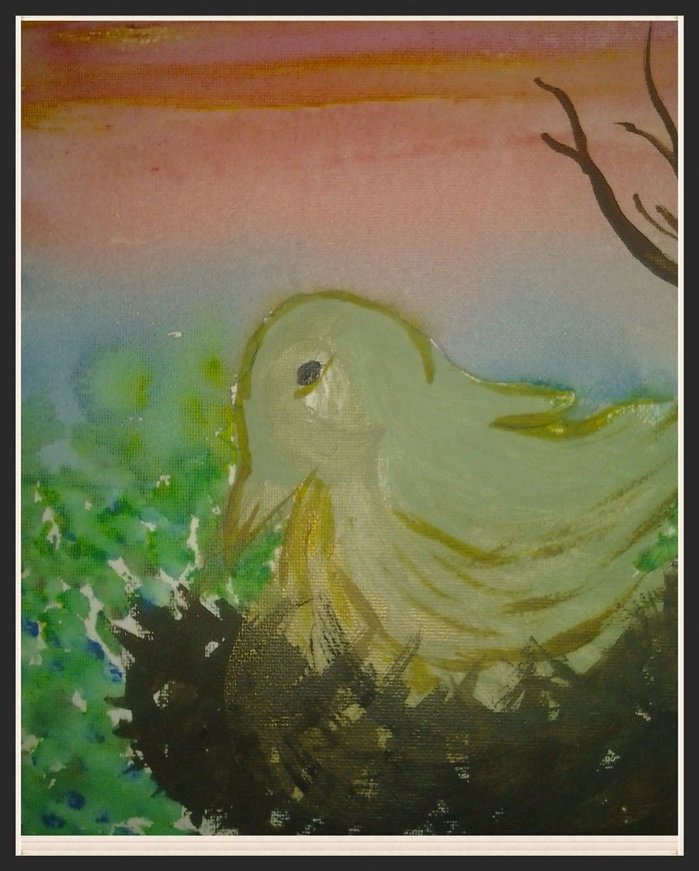 Baby bird Free