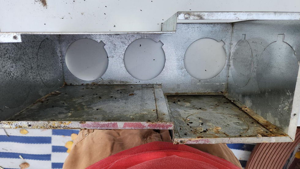Mice in the camper and why I hate mice!