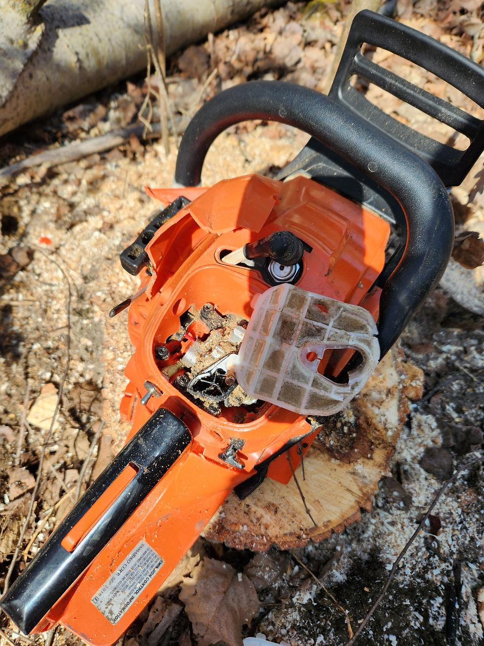 Echo CS 490 after having a large Poplar tree land on it.