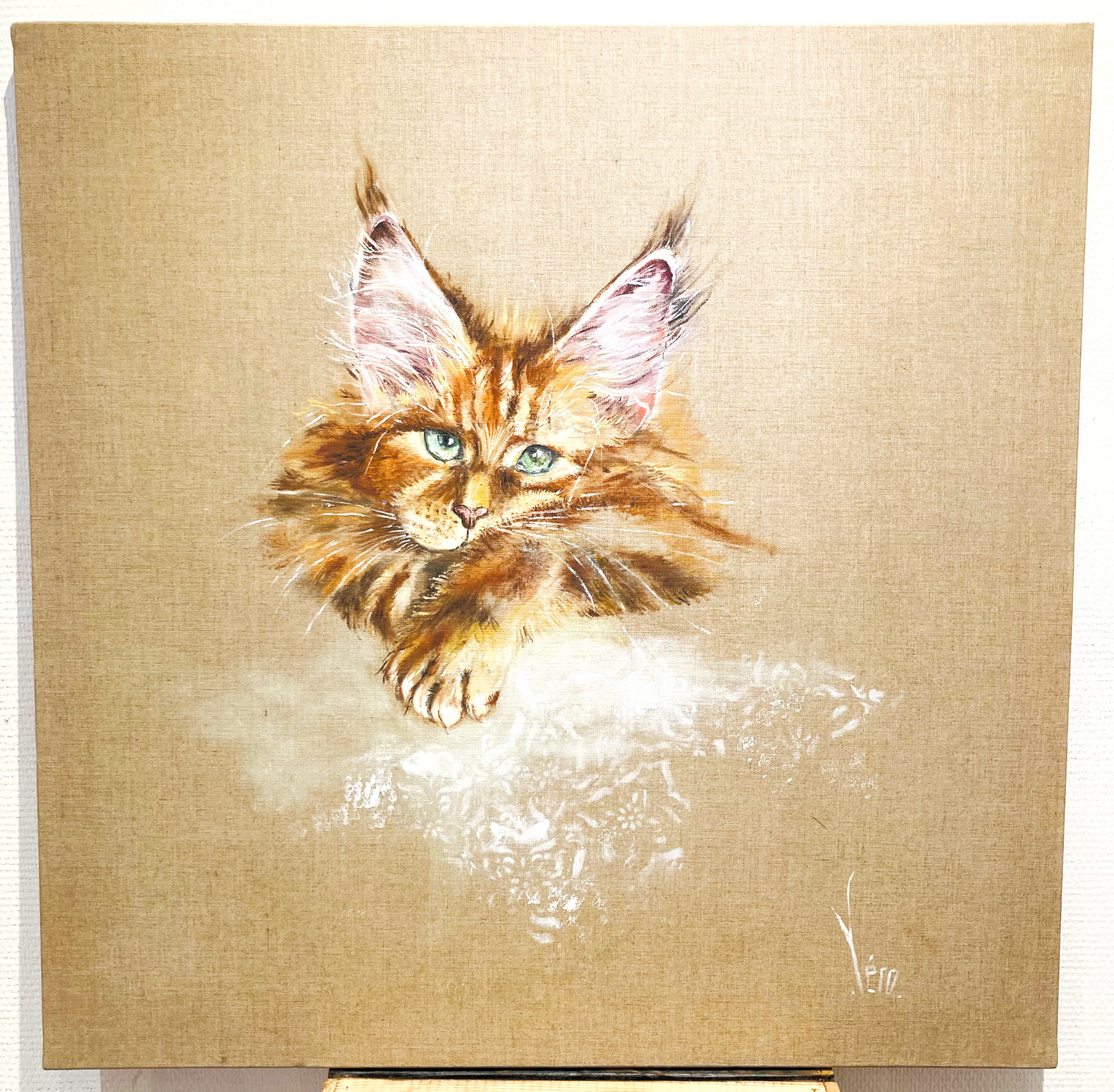 Le chat
