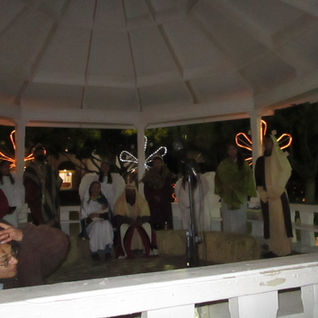 Luminaria Display 030.jpg