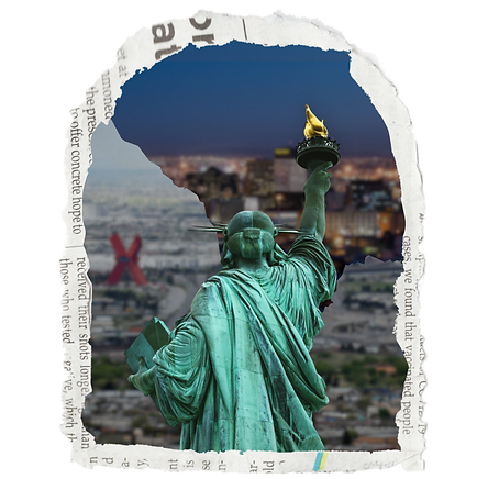 Website Graphics (2).png