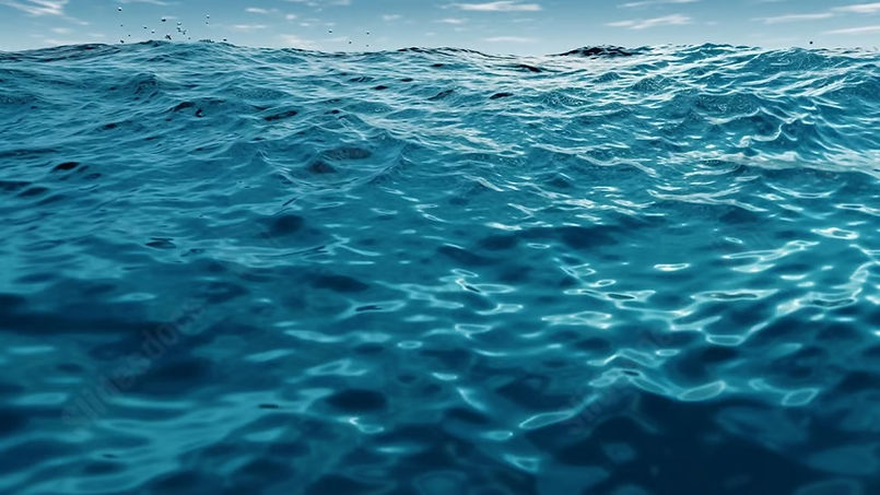 WhatsApp Image 2025-12-13 at 3.53.56 PM.jpeg