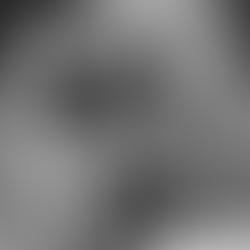 Love, Lag, and Level-Ups: Adult Gamers in Relationships