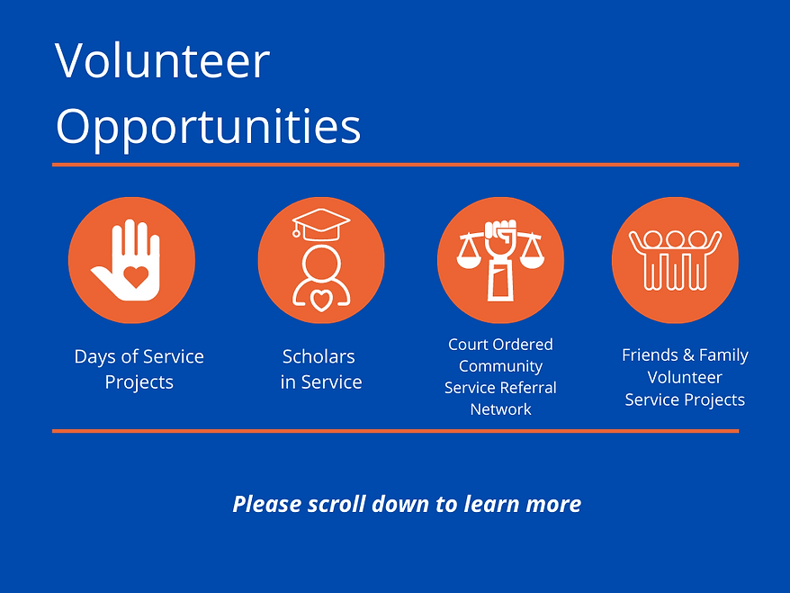 Copy of Volunteer Programs - Volunteer (2).png