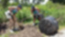 Volunteers Planting Tree+.jpg