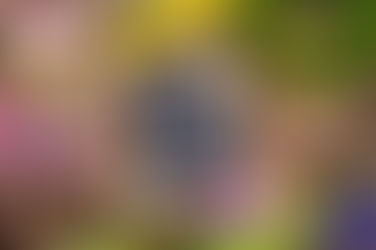 З Великоднем: вітає команда URC Radio