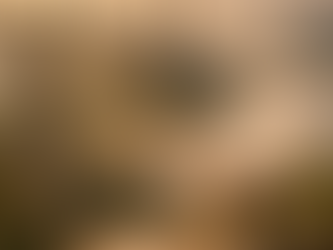 The Grail, the Trees, and the Extremely Unhelpful Alphabet