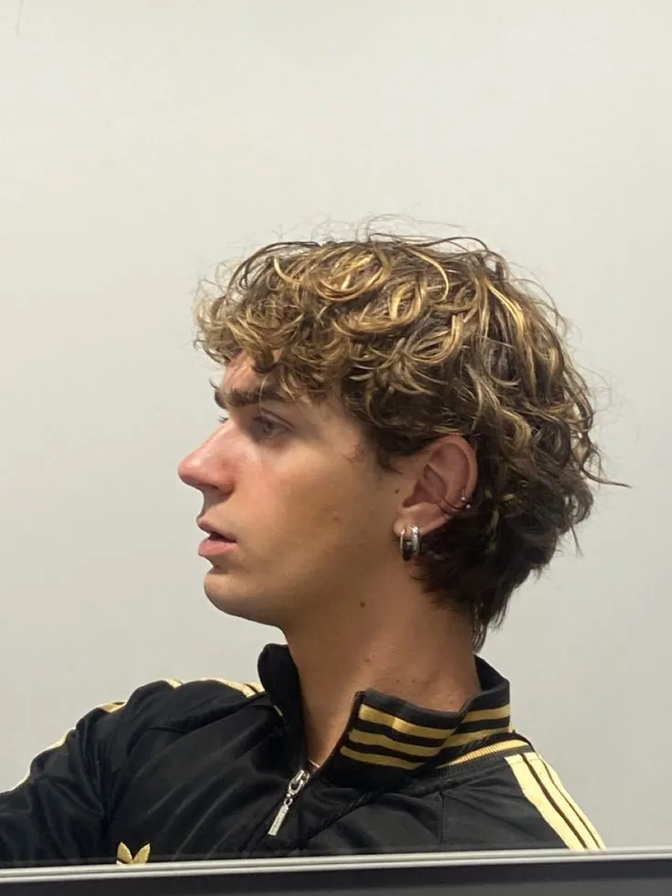 mulet espagnol blond