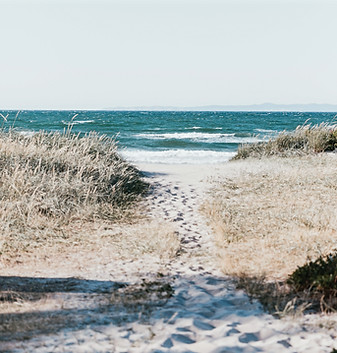 Shoreline_edited.jpg