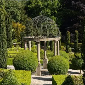 A view of the rose garden between two tall cypress trees