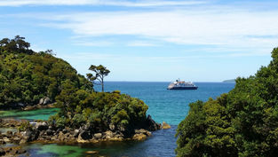 Business Experiment No. 1