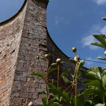 The Crinkle Crankle Wall - view from below looking up at it.