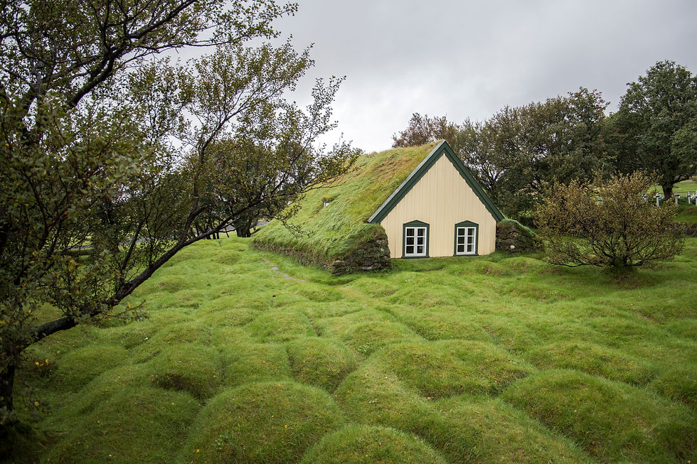 IMG_2351 Giannino Capaldi - Iceland.jpg