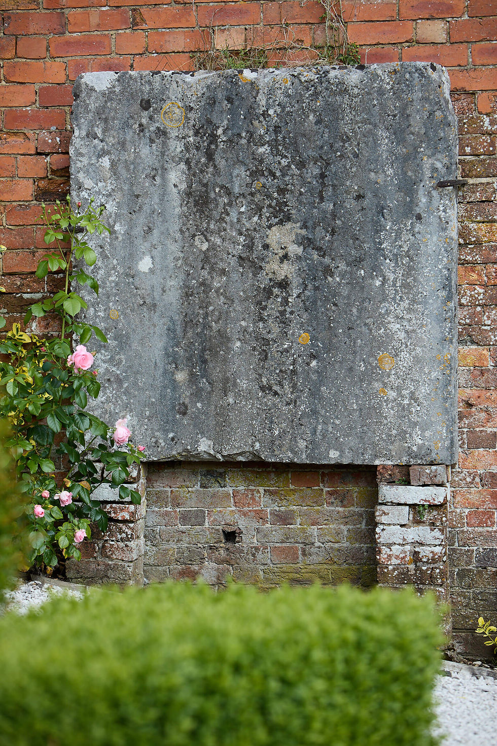 Weathered gray stone slab - the Musket Firing Range - on a red brick wall, framed by pink roses and green hedge in a quiet garden.