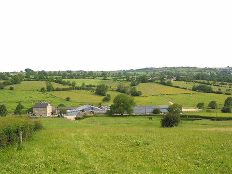 Netherton Hall Retirement Livery