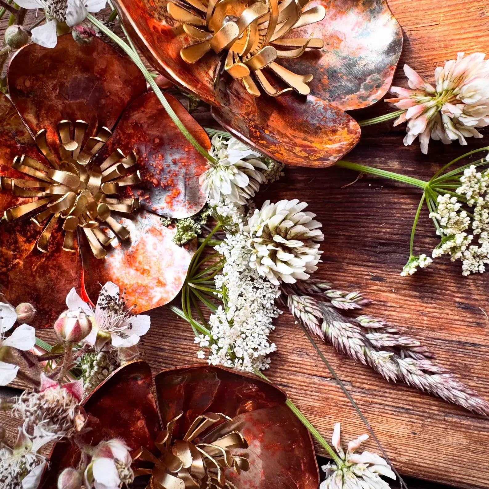 COPPER POPPIES